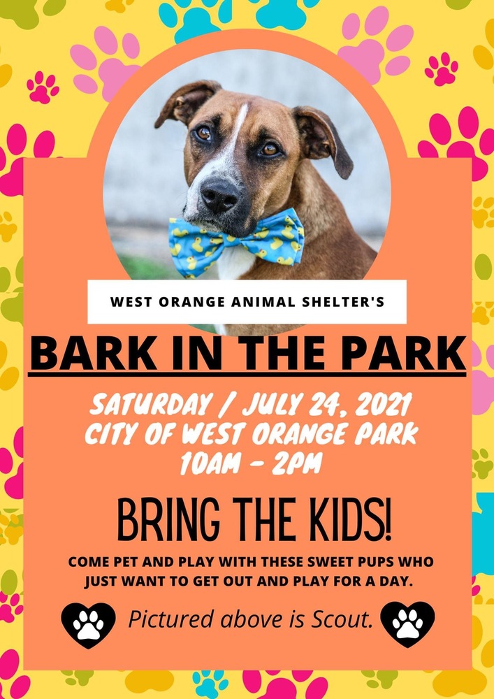 Bark in the Park scheduled for Saturday The Record Newspapers